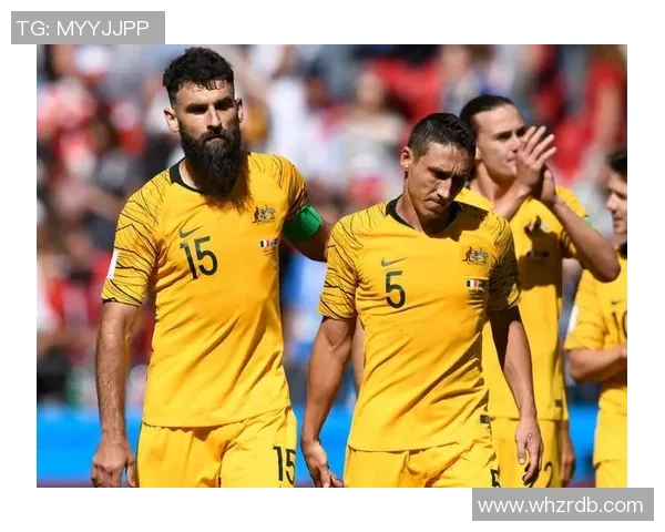 亚洲足球分档解析及其对各国球队晋级影响的深度分析